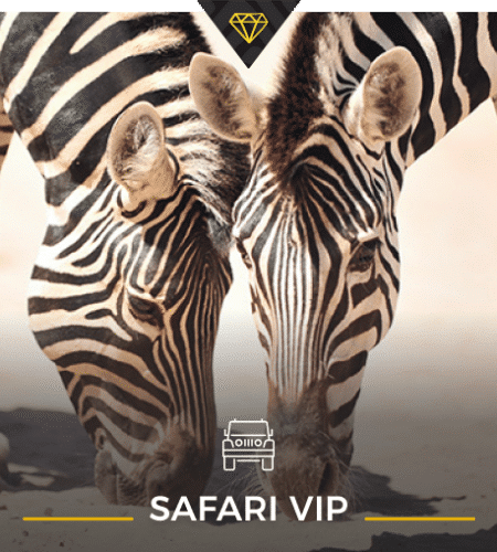 Safari VIP