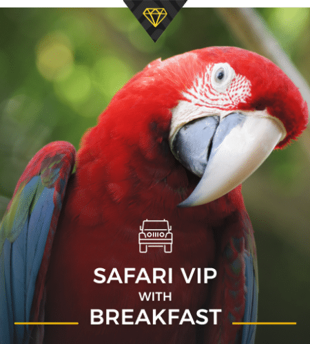 Safari VIP with Breakfast